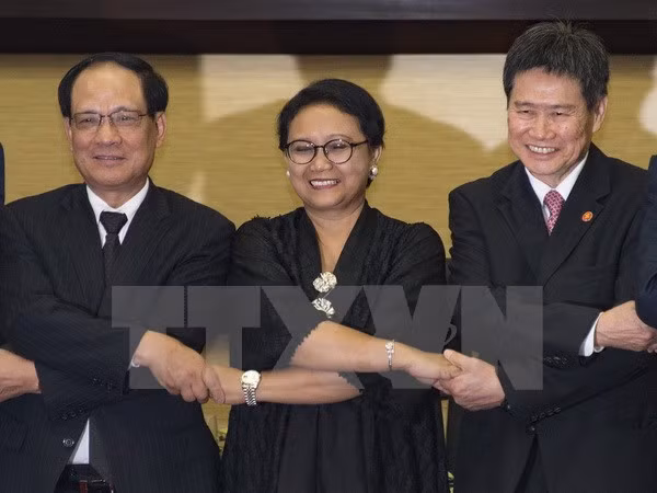 Exsecretario general de ASEAN exhorta a una mejor cooperación regional ảnh 1