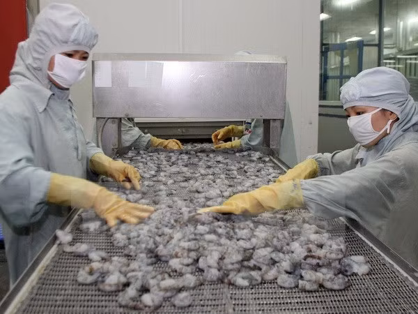 Ratifican proyecto sobre desarrollo de industria y comercio marítimo de Vietnam ảnh 1 Ratifican proyecto sobre desarrollo de industria y comercio marítimo de Vietnam ảnh 1
