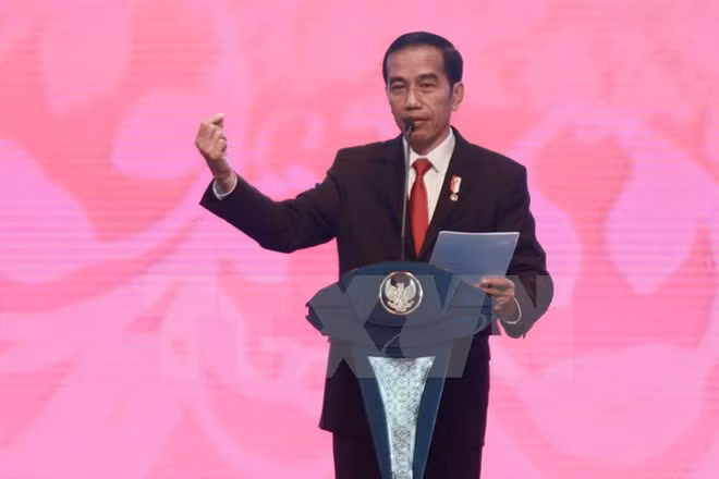 Indonesia crea agencia cibernética para combatir extremismo y noticias falsas ảnh 1