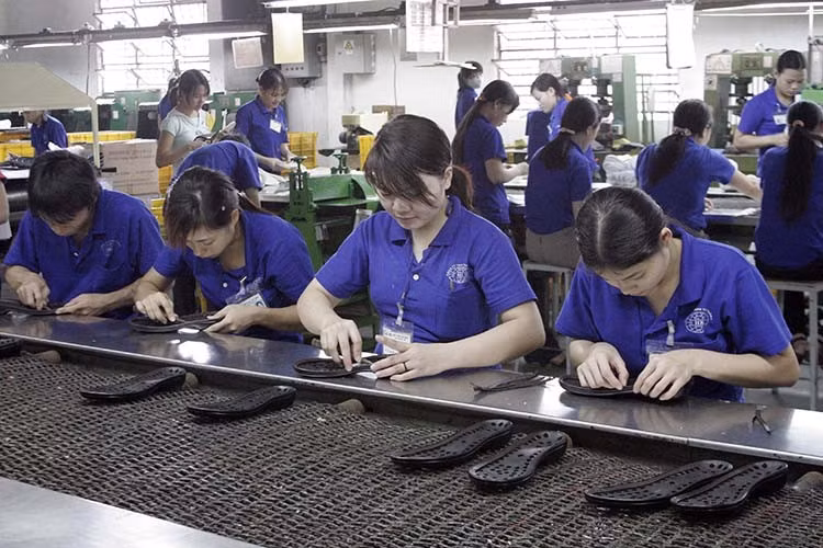 Registra Vietnam este año superávit comercial con Israel ảnh 1