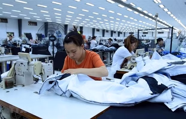 Beneficia Programa de la OIT al sector textil de Vietnam ảnh 1