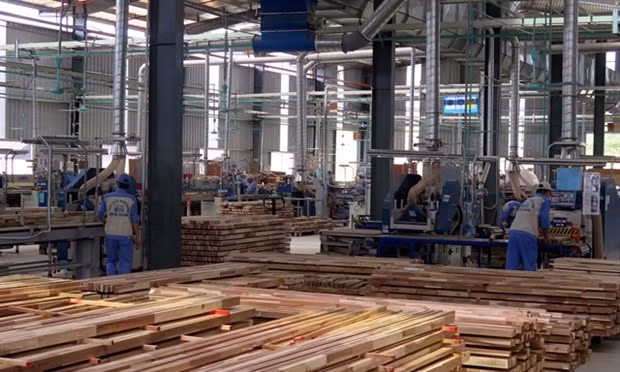 Vietnam por tener un millón de empresas activas en 2020 ảnh 1
