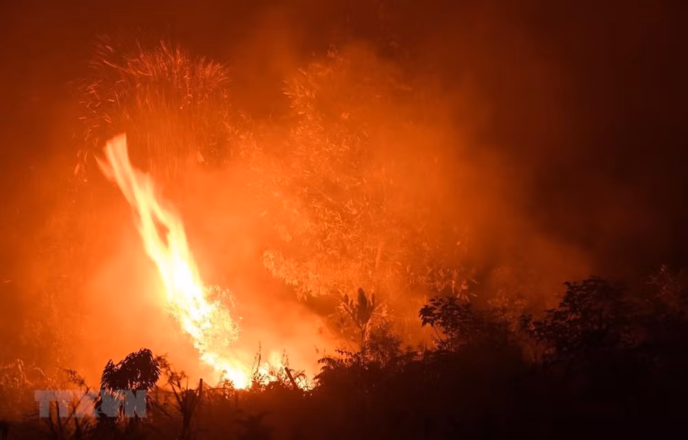 Causan incendios forestales pérdidas económicas por 5,2 mil millones de dólares para Indonesia ảnh 1 Causan incendios forestales pérdidas económicas por 5,2 mil millones de dólares para Indonesia ảnh 1