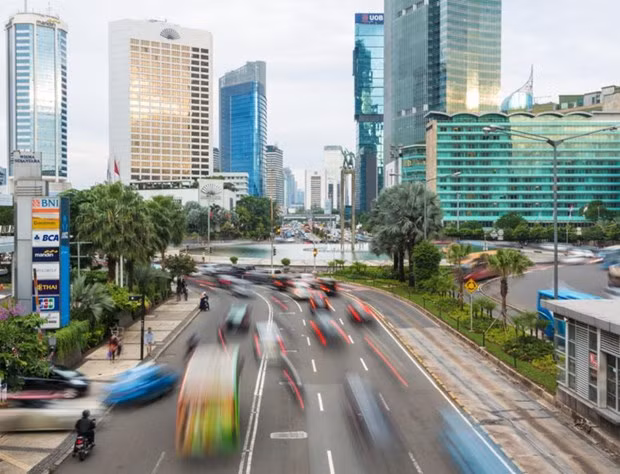 Estrechan Indonesia y EAU cooperación multifacética ảnh 1