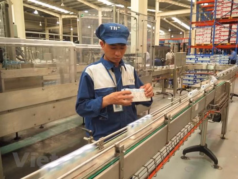 Coloca Vietnam más de 500 millones de dólares de capital en ultramar en 2019 ảnh 1
