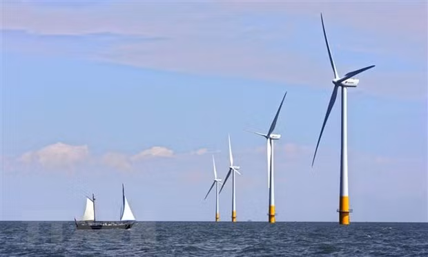 Valoran en Vietnam desarrollo del mayor proyecto sobre energía eólica marina ảnh 1
