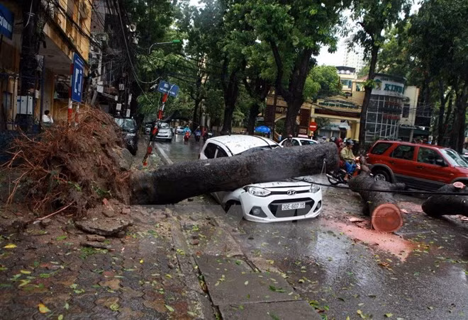 Exhortan en Vietnam a mejorar pronóstico de tormentas ảnh 1