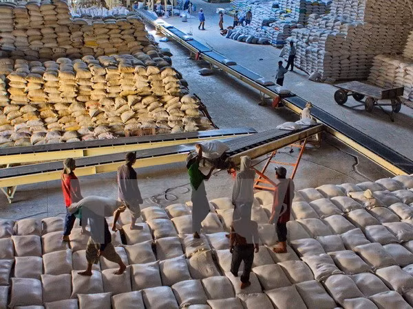 Las exportaciones del arroz de Vietnam merman 18,4 por ciento ảnh 1 Las exportaciones del arroz de Vietnam merman 18,4 por ciento ảnh 1