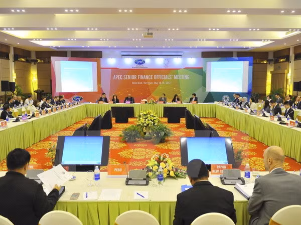 Efectúan reunión de altos funcionarios financieros de APEC ảnh 1 Efectúan reunión de altos funcionarios financieros de APEC ảnh 1