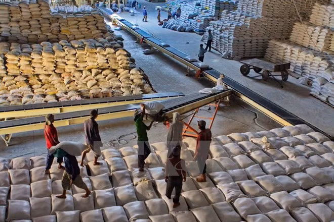 Filipinas pide al sector privado importar arroz barato ảnh 1
