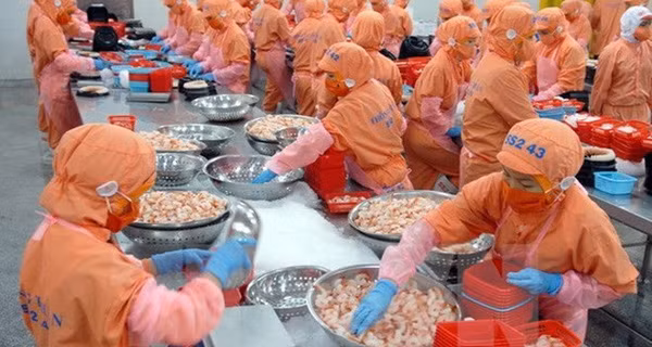 Déficit comercial de Vietnam ejercerá presión sobre tasa de cambio ảnh 1