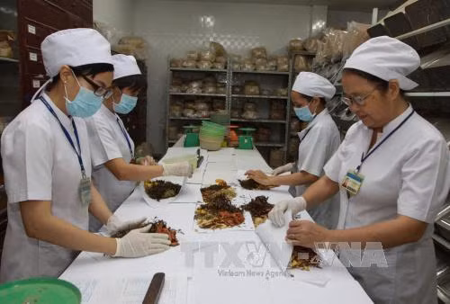 Simposio internacional destaca valores de medicina tradicional de Vietnam ảnh 1