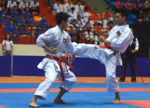 Karatecas vietnamitas ganan 22 medallas de oro en campeonato regional ảnh 1 Karatecas vietnamitas ganan 22 medallas de oro en campeonato regional ảnh 1
