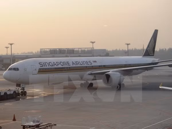 Incendio obliga a evacuar el Aeropuerto Changi de Singapur ảnh 1