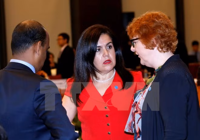 APEC logra avances en cuatro prioridades de cooperación ảnh 1