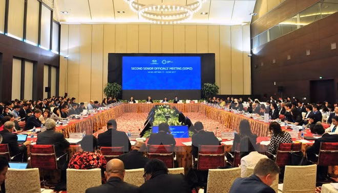 Miembros de APEC dialogan sobre medidas en apoyo a comercio multilateral ảnh 1