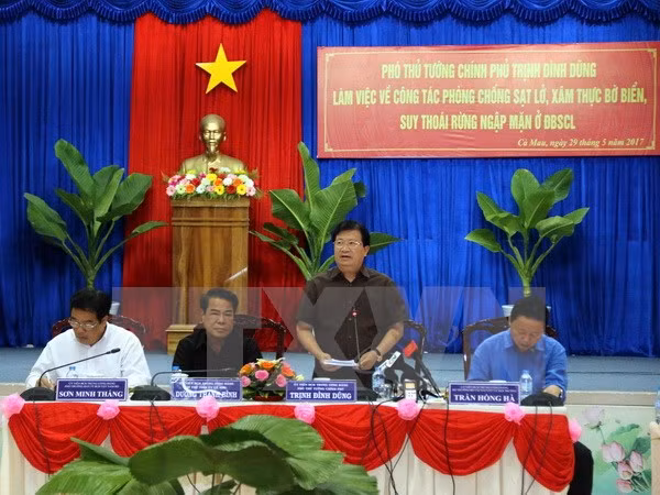 Refuerzan labores de prevención de deslizamientos de tierra en Delta del río Mekong ảnh 1