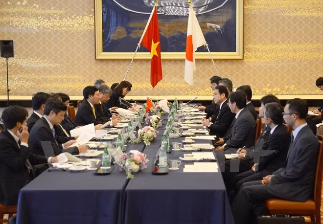 Vicepremier vietnamita dialoga con líderes de Japón ảnh 2