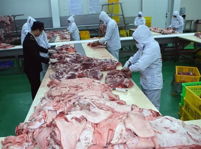 Ventas minoristas y servicios en Vietnam crecen 6,7 por ciento ảnh 1