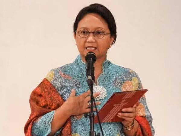 Indonesia pide a ASEAN luchar contra campaña sobre aceite de palma ảnh 1