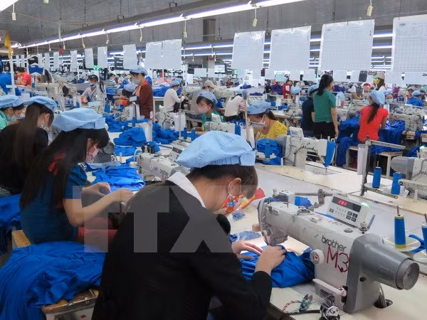 Miembros de APEC estudian facilitación del comercio ảnh 1