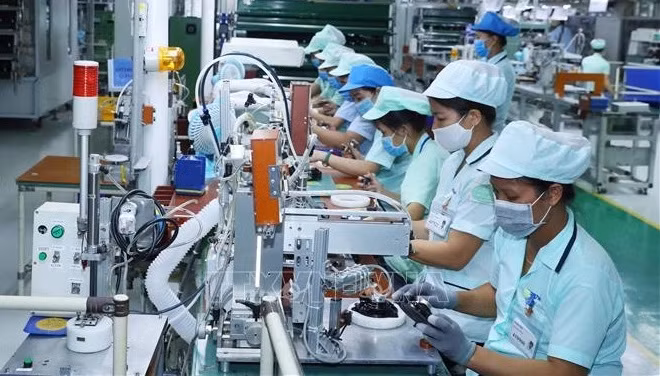 Buscan desarrollar ecosistema emprendedor en Vietnam ảnh 1 Buscan desarrollar ecosistema emprendedor en Vietnam ảnh 1