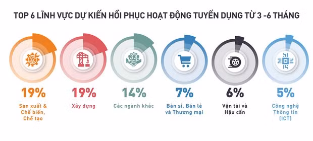 Crece demanda de fuerza laboral en Vietnam durante el primer semestre ảnh 2