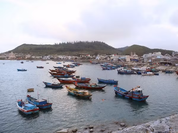 Vietnam insiste en renovar la pesca cumpliendo con las normas europeas ảnh 1