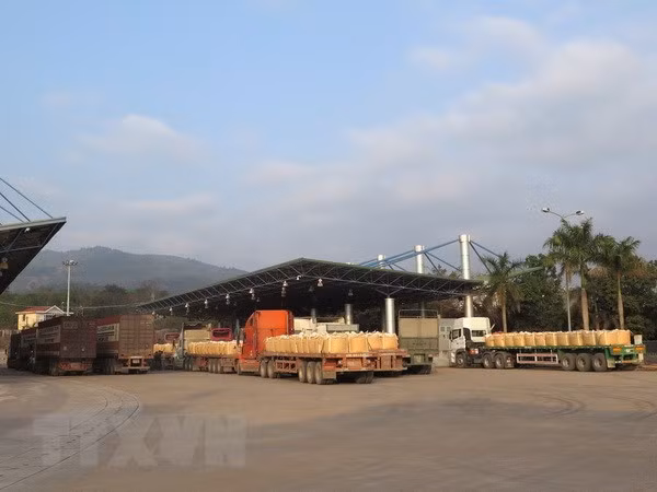 Vietnam se mantiene como tercer mayor socio comercial de Laos ảnh 1