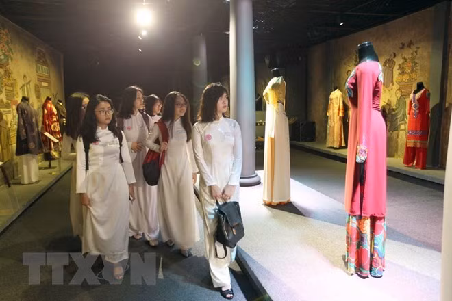 Tres mil mujeres participan en desfile masivo de Ao Dai en Ciudad Ho Chi Minh ảnh 1