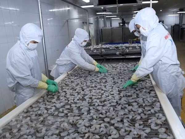 Exportaciones agroforestales y acuícolas de Vietnam siguen en curva ascendente ảnh 1