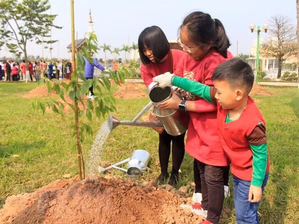 Japón respalda a Hanoi en proyecto de plantación de árboles ảnh 1