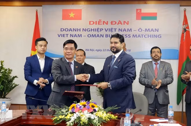 Intercambio comercial Vietnam-Omán reporta alto crecimiento ảnh 1