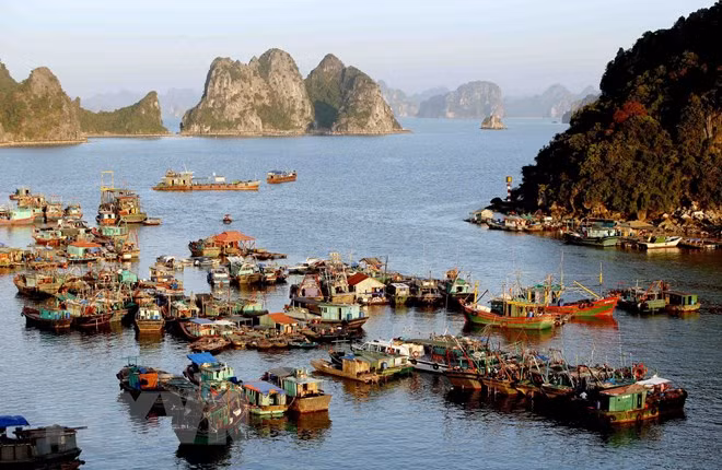 Provincia vietnamita de Quang Ninh atrajo a casi cinco millones de turistas en primer trimestre ảnh 1 Provincia vietnamita de Quang Ninh atrajo a casi cinco millones de turistas en primer trimestre ảnh 1