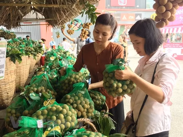 Prevé exportación de longan vietnamita a mercado australiano en 2019 ảnh 1