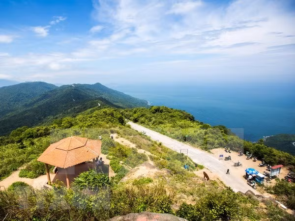 Aspira Da Nang a convertir al turismo en locomotora de la economía local ảnh 1