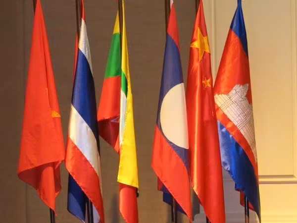 Inaugurarán mañana en Vietnam cumbres de países ribereños del río Mekong ảnh 1