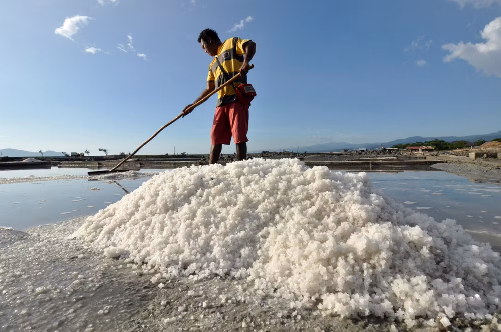 Indonesia importará 3,7 millones de toneladas de sal industrial este año ảnh 1