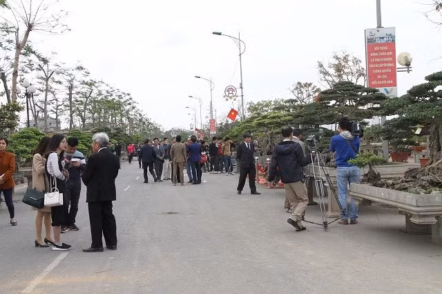 Exponen plantas y objetos ornamentales típicos en Vietnam ảnh 1