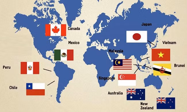 CPTPP: oportunidad para Vietnam en atracción de flujos de capital extranjero ảnh 1 CPTPP: oportunidad para Vietnam en atracción de flujos de capital extranjero ảnh 1