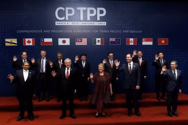 CPTPP dará un nuevo impulso a nexos Vietnam-Chile, dice embajador vietnamita ảnh 1 CPTPP dará un nuevo impulso a nexos Vietnam-Chile, dice embajador vietnamita ảnh 1
