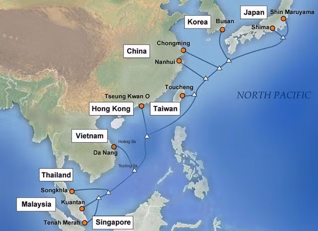 Servicios de internet en Vietnam afectados por fallo en cable submarino APG ảnh 1