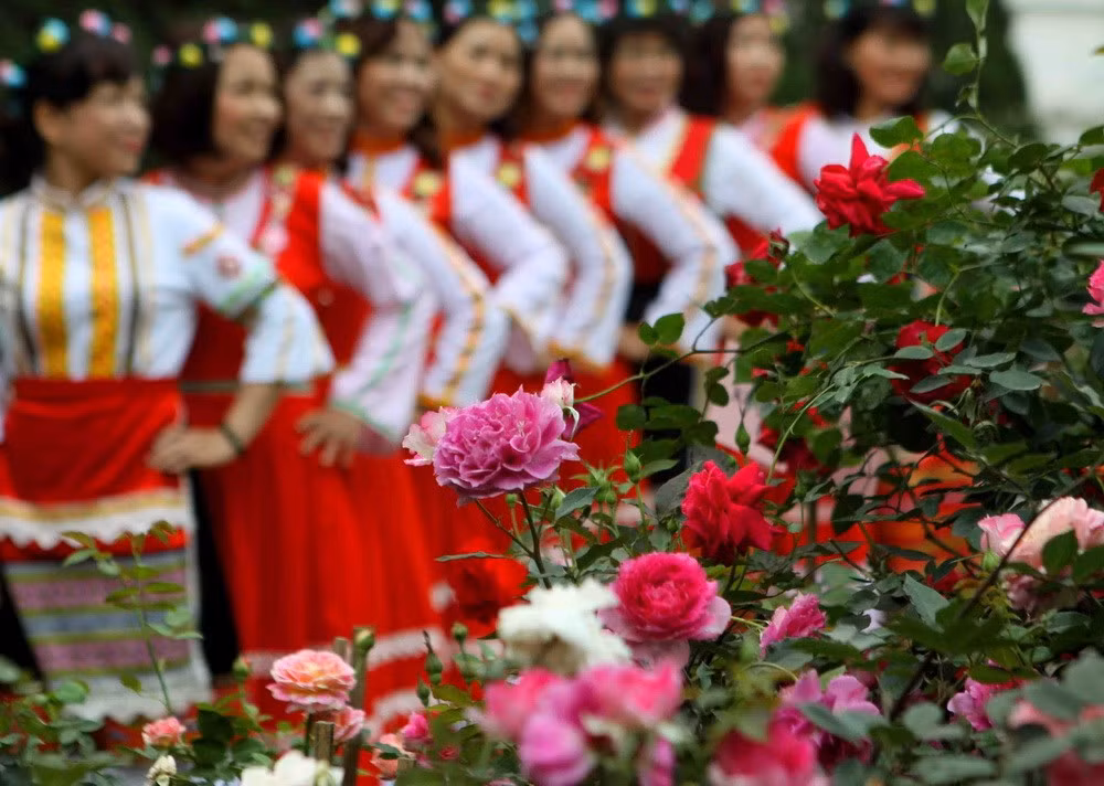 Rosas marcan aniversario de nexos Vietnam-Bulgaria ảnh 1