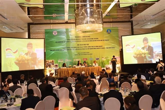 FAO coopera con Asia-Pacífico para mitigar impacto en la agricultura del cambio climático ảnh 1