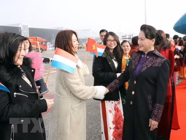 Presidenta del Parlamento de Vietnam inicia vista a Países Bajos ảnh 1