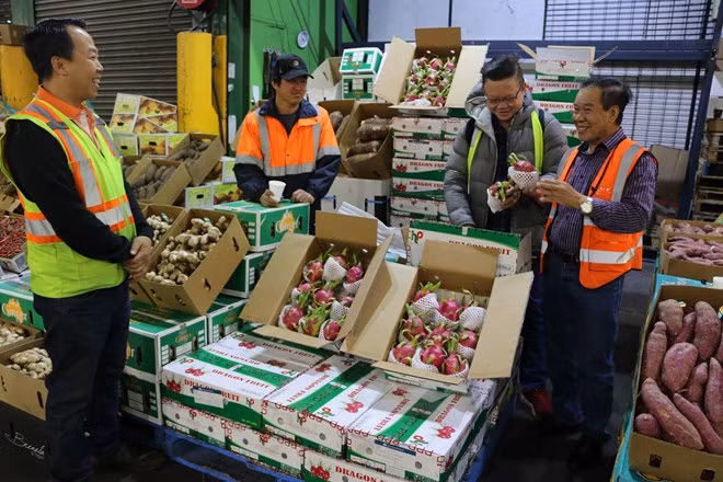 ASEAN- segundo mayor importador de productos agrícolas de Sudcorea ảnh 1 ASEAN- segundo mayor importador de productos agrícolas de Sudcorea ảnh 1