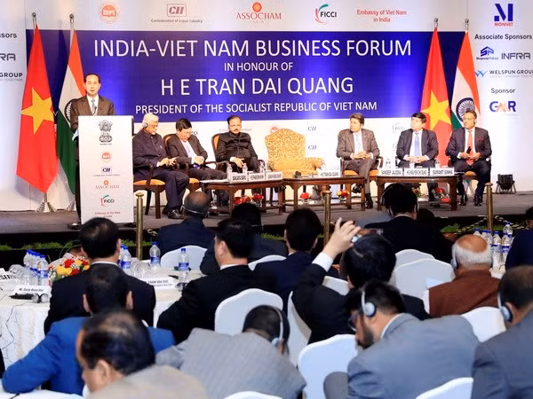 Presidente Tran Dai Quang interviene en Foro Empresarial Vietnam- la India ảnh 1