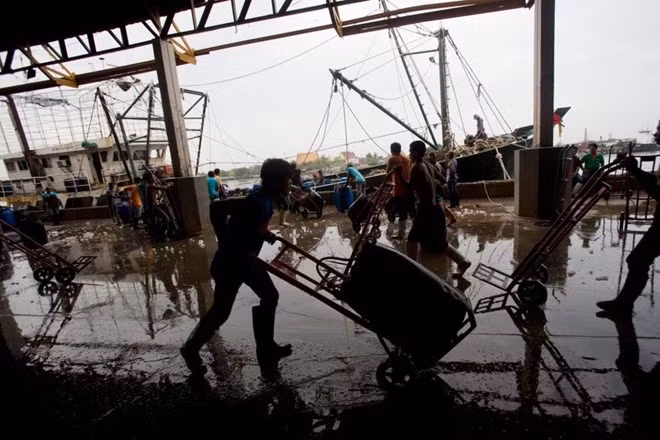 Tailandia obliga pago a través de cuentas bancarias para pescadores migrantes ảnh 1 Tailandia obliga pago a través de cuentas bancarias para pescadores migrantes ảnh 1