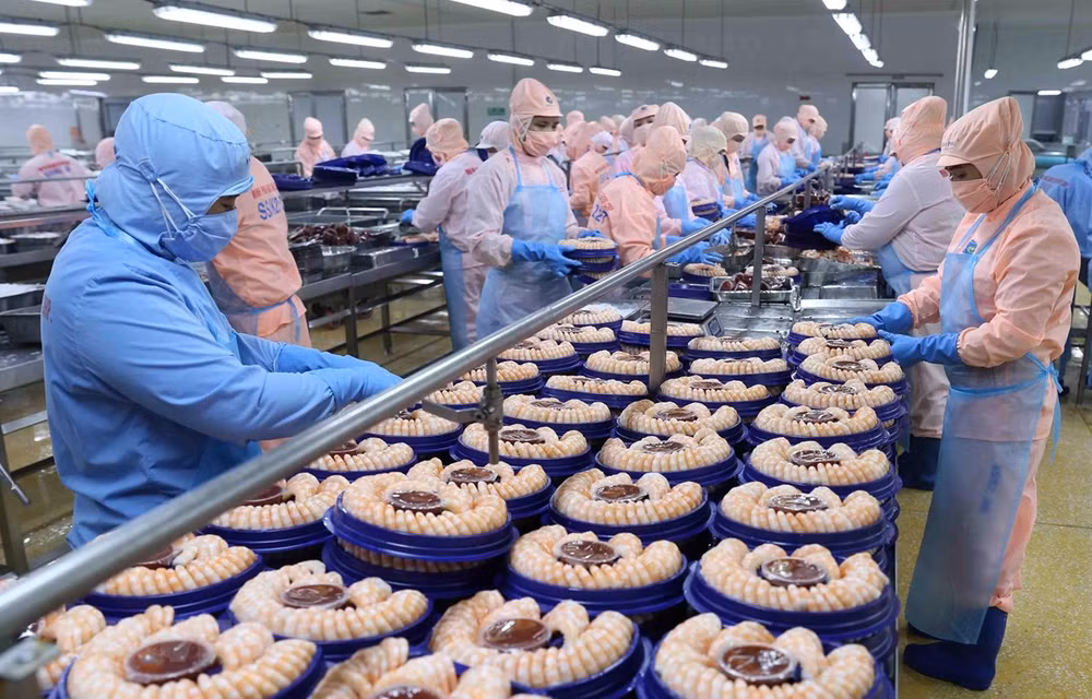 Provincia vietnamita supera objetivo anual de producción pesquera ảnh 1