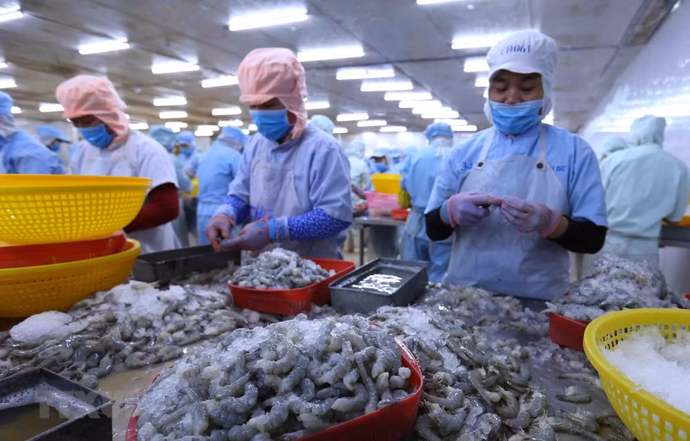 Vietnam es socio económico destacado de Australia, según informe de instituciones ảnh 1 Vietnam es socio económico destacado de Australia, según informe de instituciones ảnh 1